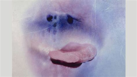 sexy mature photos|Sex positivity after 70: Marilyn Minter’s sensual photographs of ...